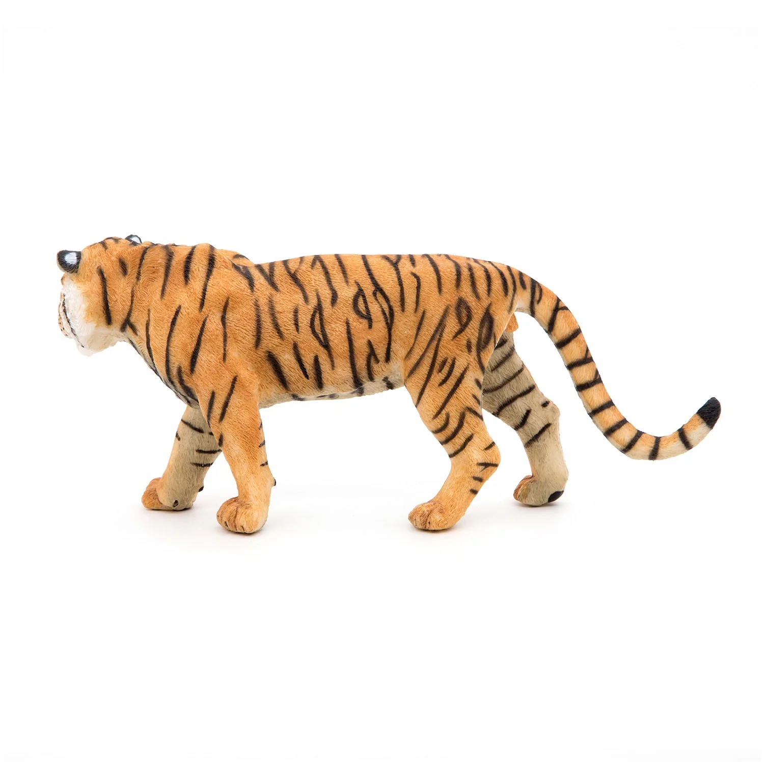 Tijger - Image 7