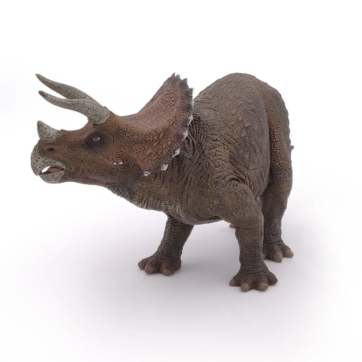 Triceratops - Image 6