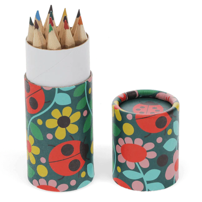 Tube met 12 kleurpotloodjes - Ladybird
