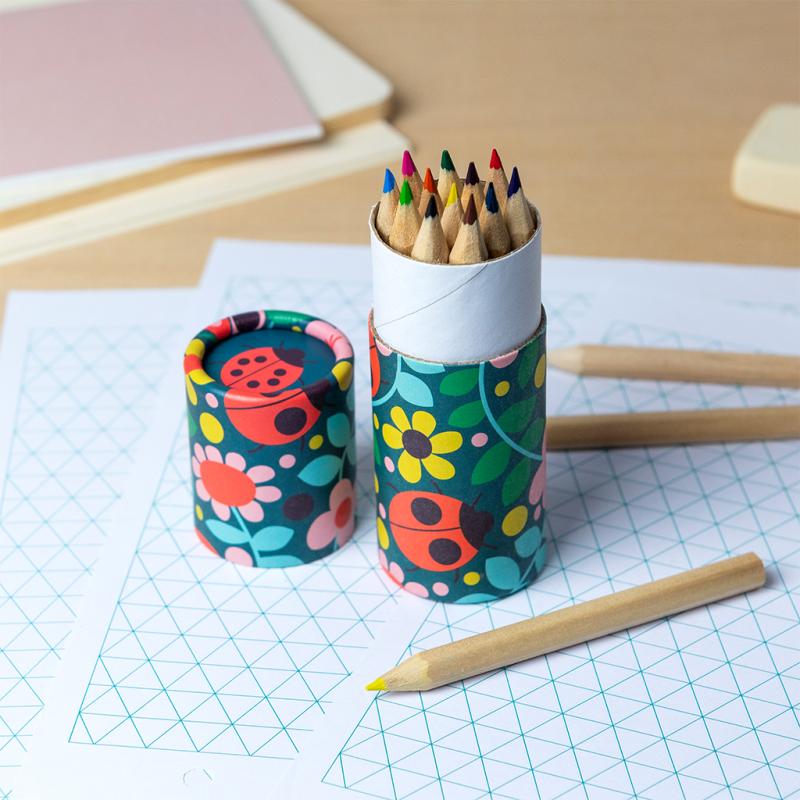 Tube met 12 kleurpotloodjes - Ladybird - Image 2
