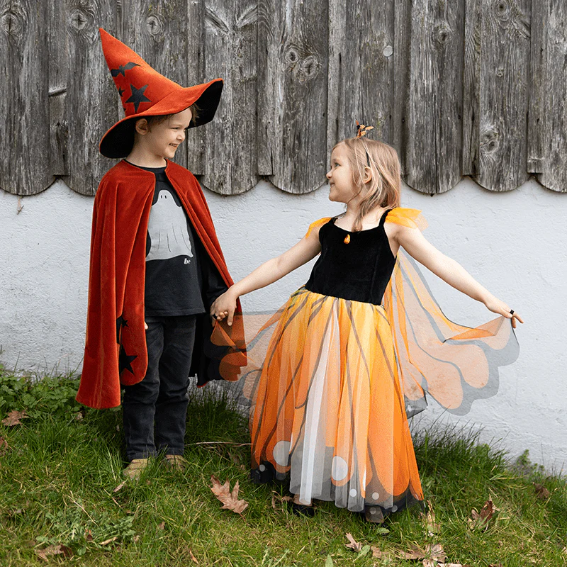 Verkleedcape Autum Embers Wizard Cape with Hat - Image 10