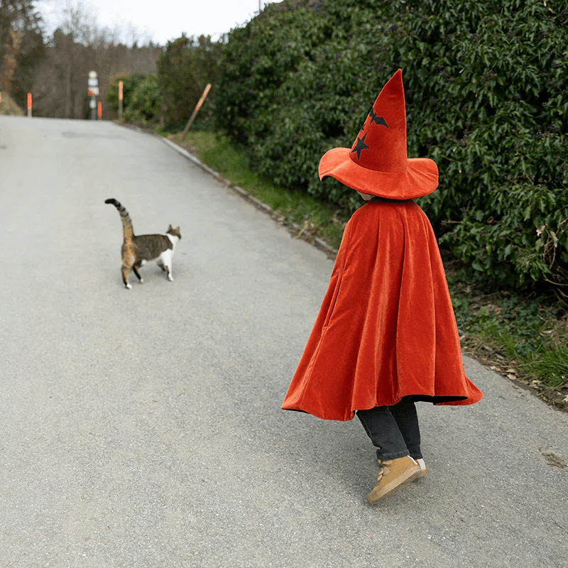 Verkleedcape Autum Embers Wizard Cape with Hat - Image 6