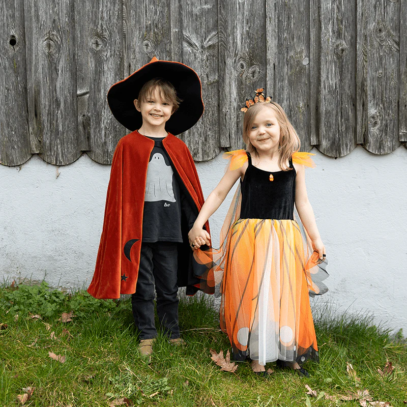 Verkleedcape Autum Embers Wizard Cape with Hat - Image 9
