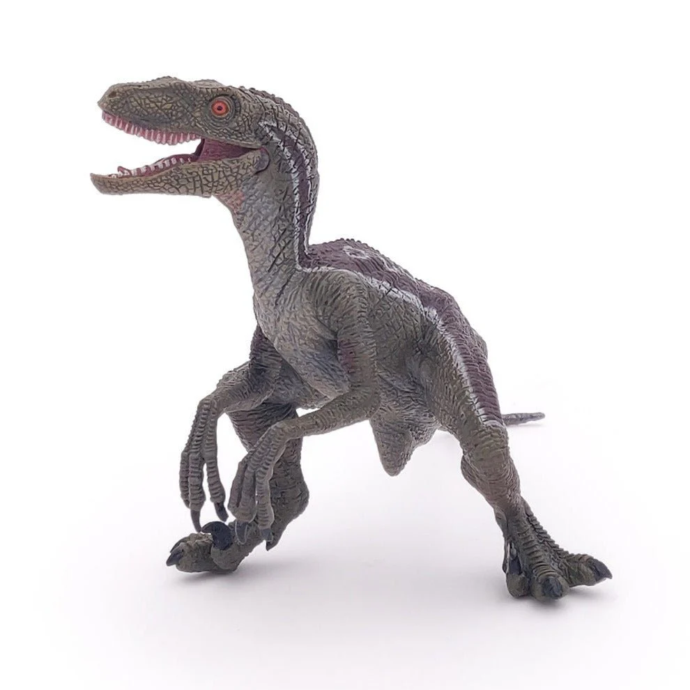 Velociraptor - Image 7