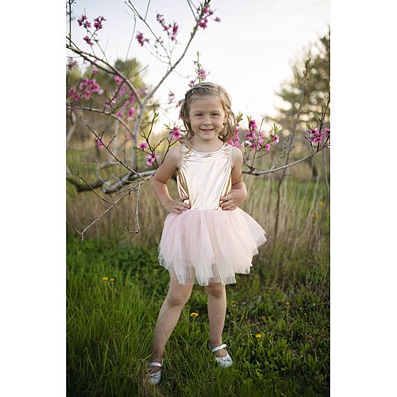 Verkleedjurk Ballet Tutu Dress Rose Gold - Image 8