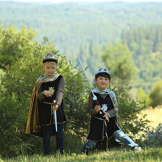 Verkleedset Ridder - Gold Knight Tunic/Cape/Crown - Image 7