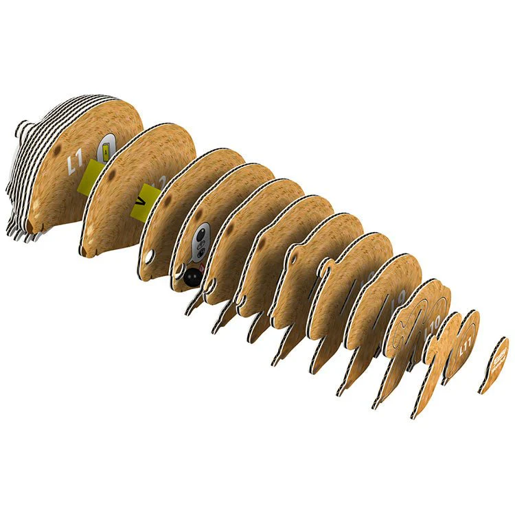 3D puzzel - Wild Dier Wombat - Image 2