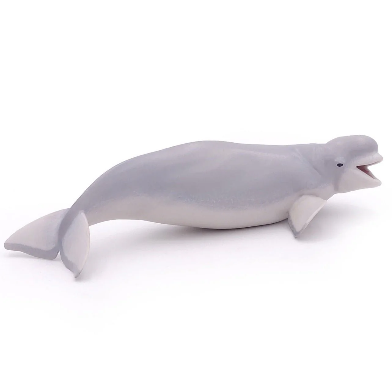 Beluga Walvis