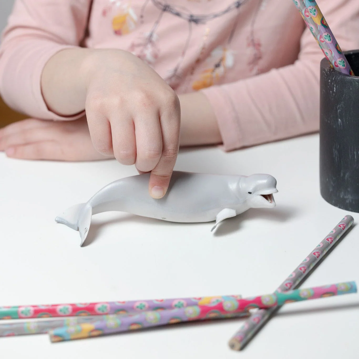 Beluga Walvis - Image 2