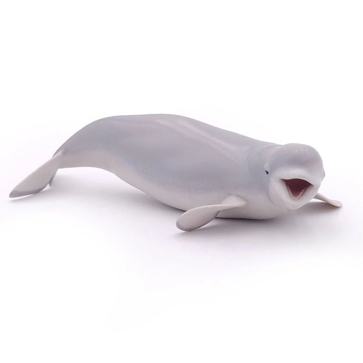 Beluga Walvis - Image 3