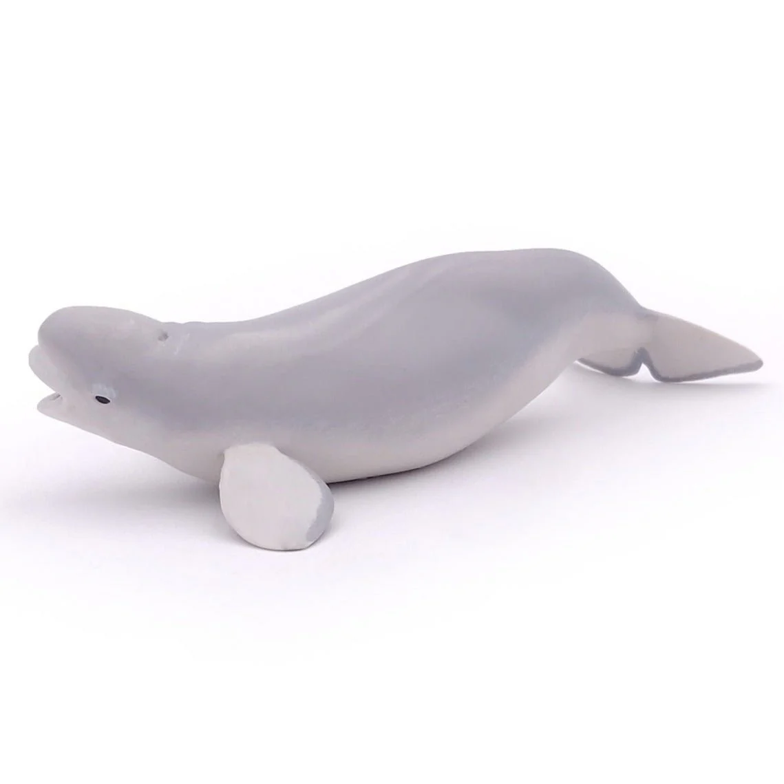 Beluga Walvis - Image 5