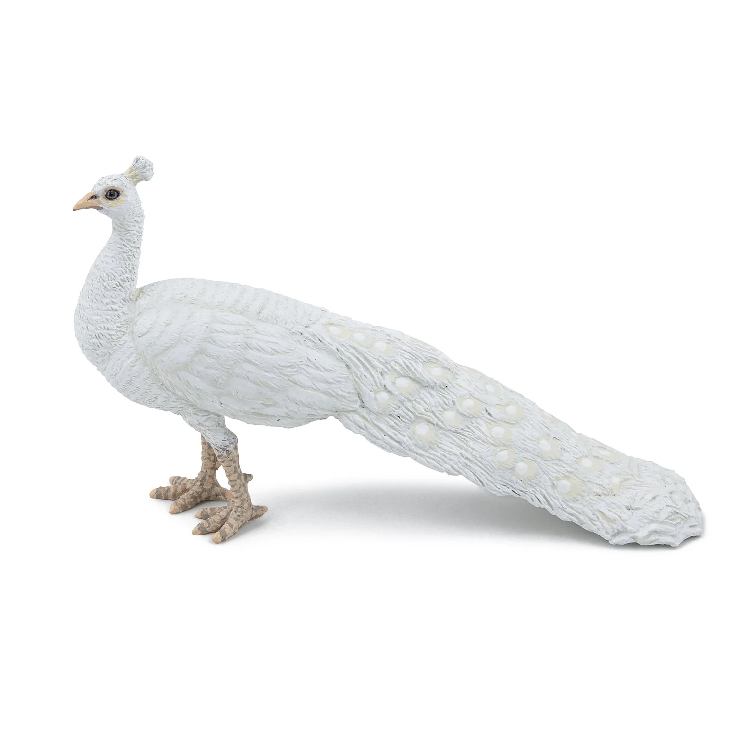 Witte Pauw