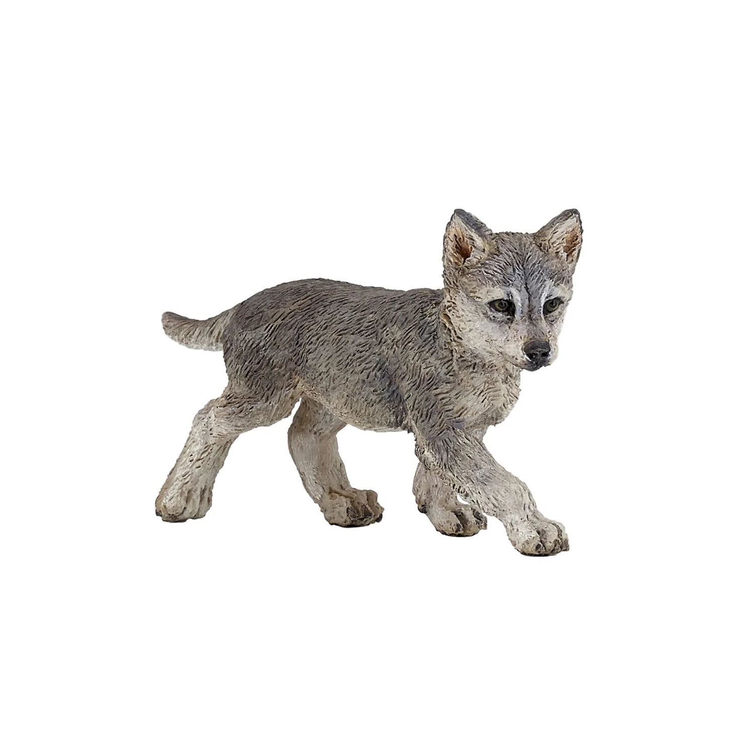 Wolf Welp
