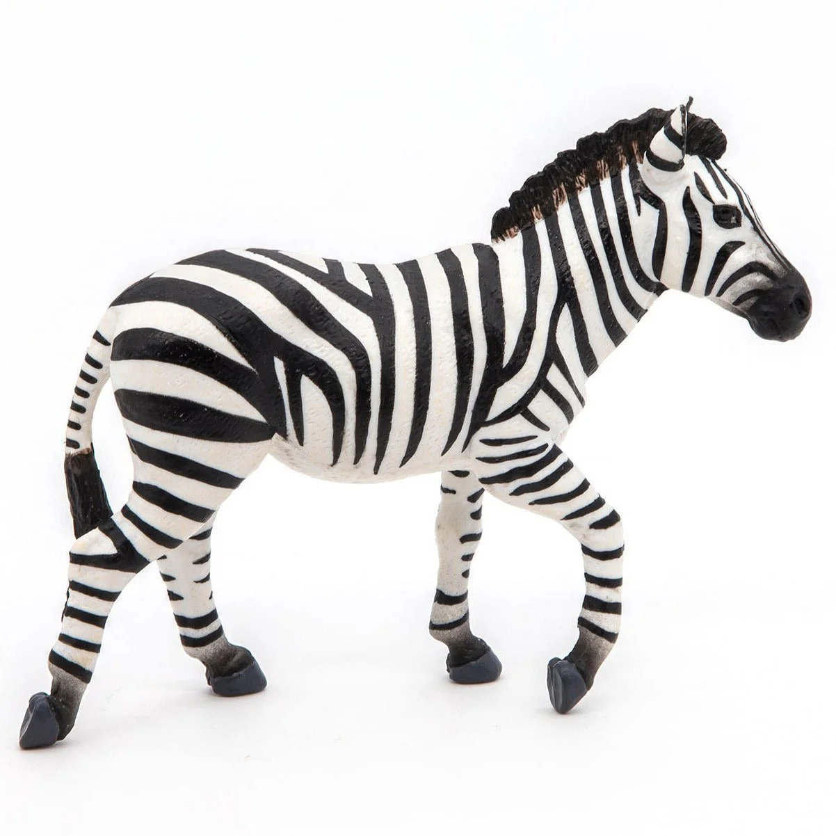 Zebra Mannetje - Image 2