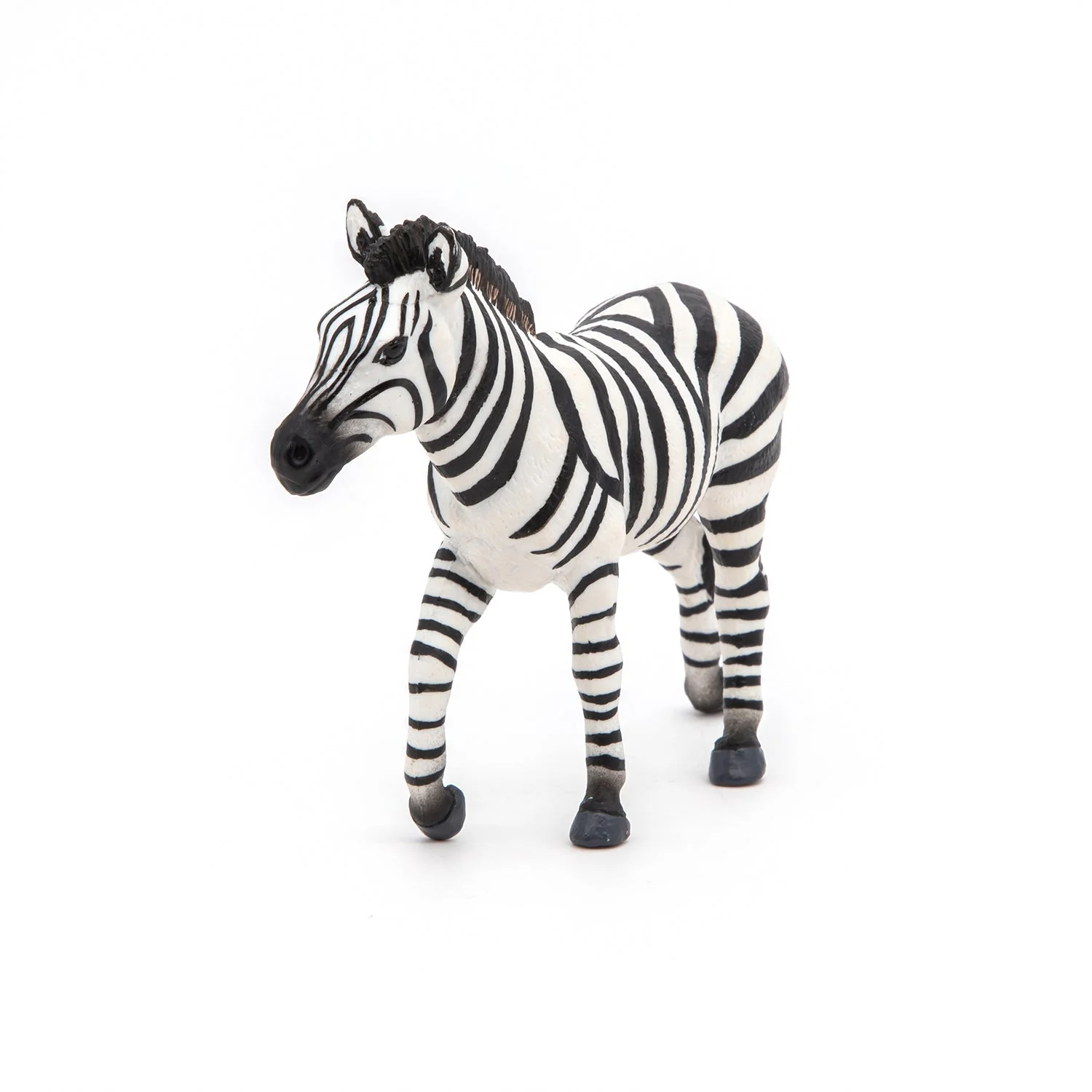 Zebra Mannetje - Image 6