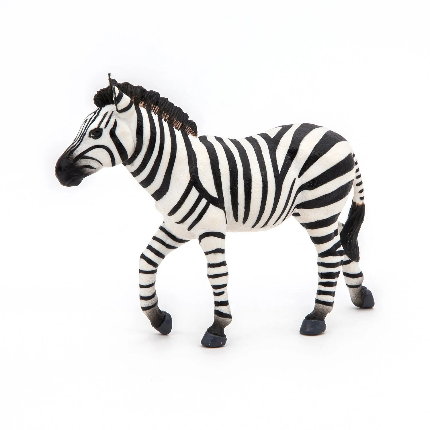 Zebra Mannetje - Image 7