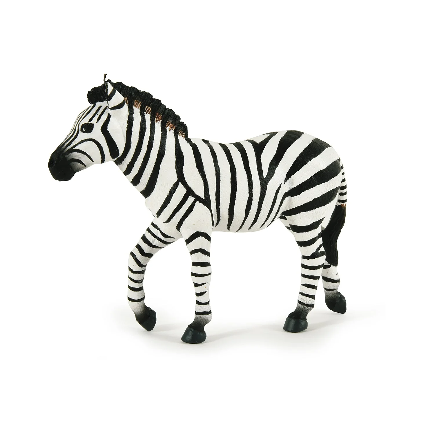 Zebra Mannetje - Image 8