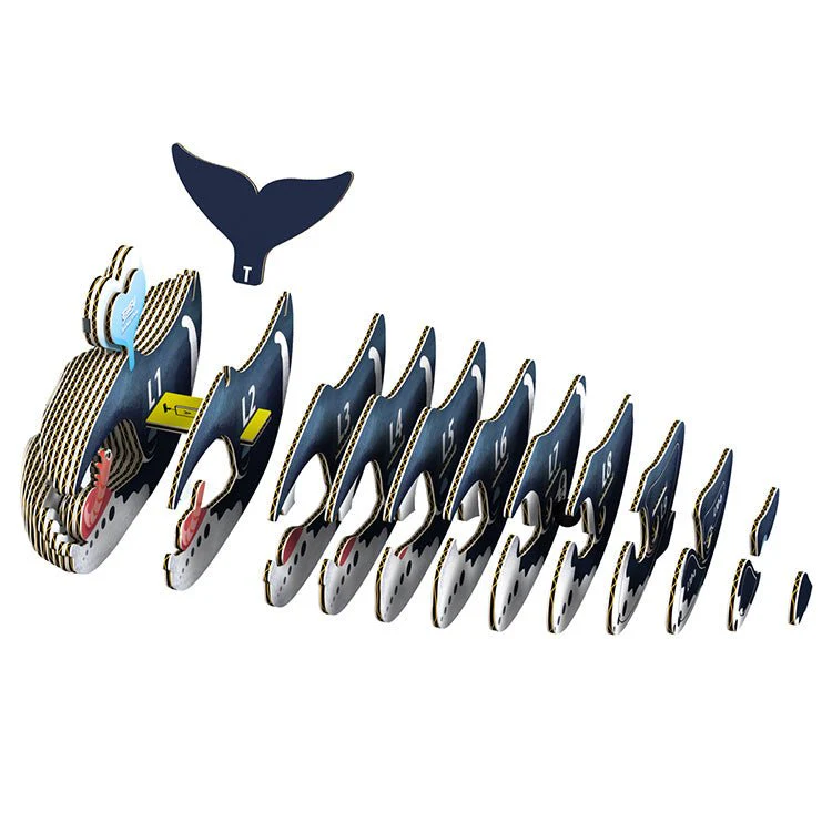 3D puzzel - Zeedier Groenlandse Walvis - Image 4