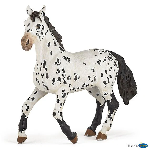 Zwarte Appeloosa Paard - Image 10