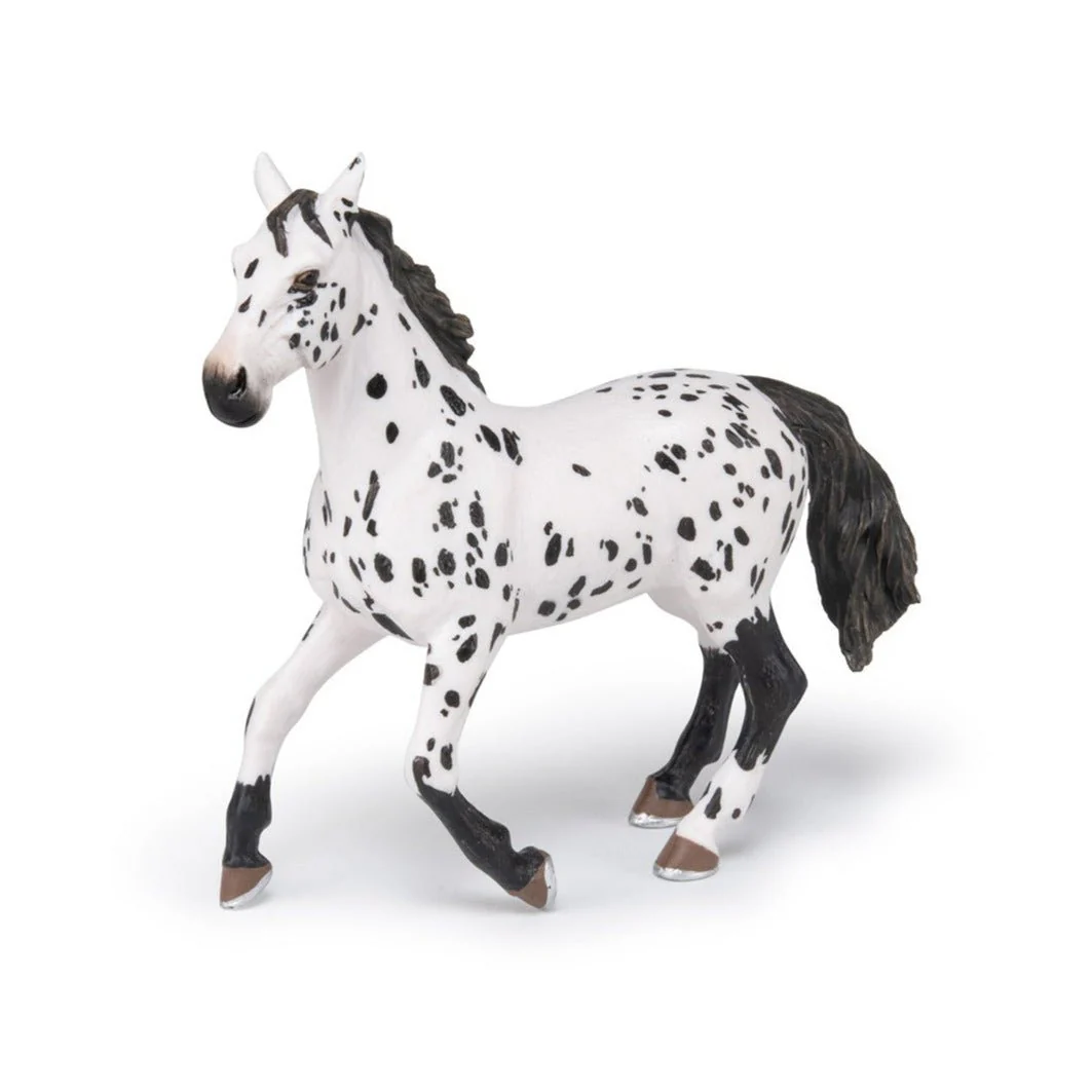 Zwarte Appeloosa Paard - Image 5