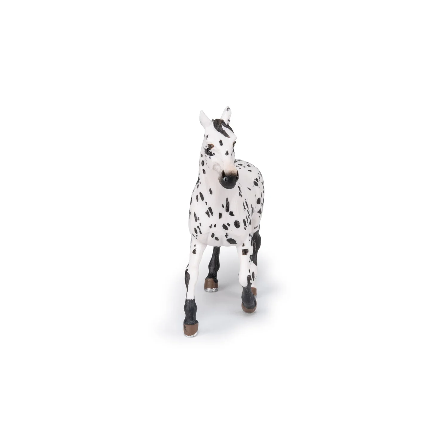 Zwarte Appeloosa Paard - Image 6
