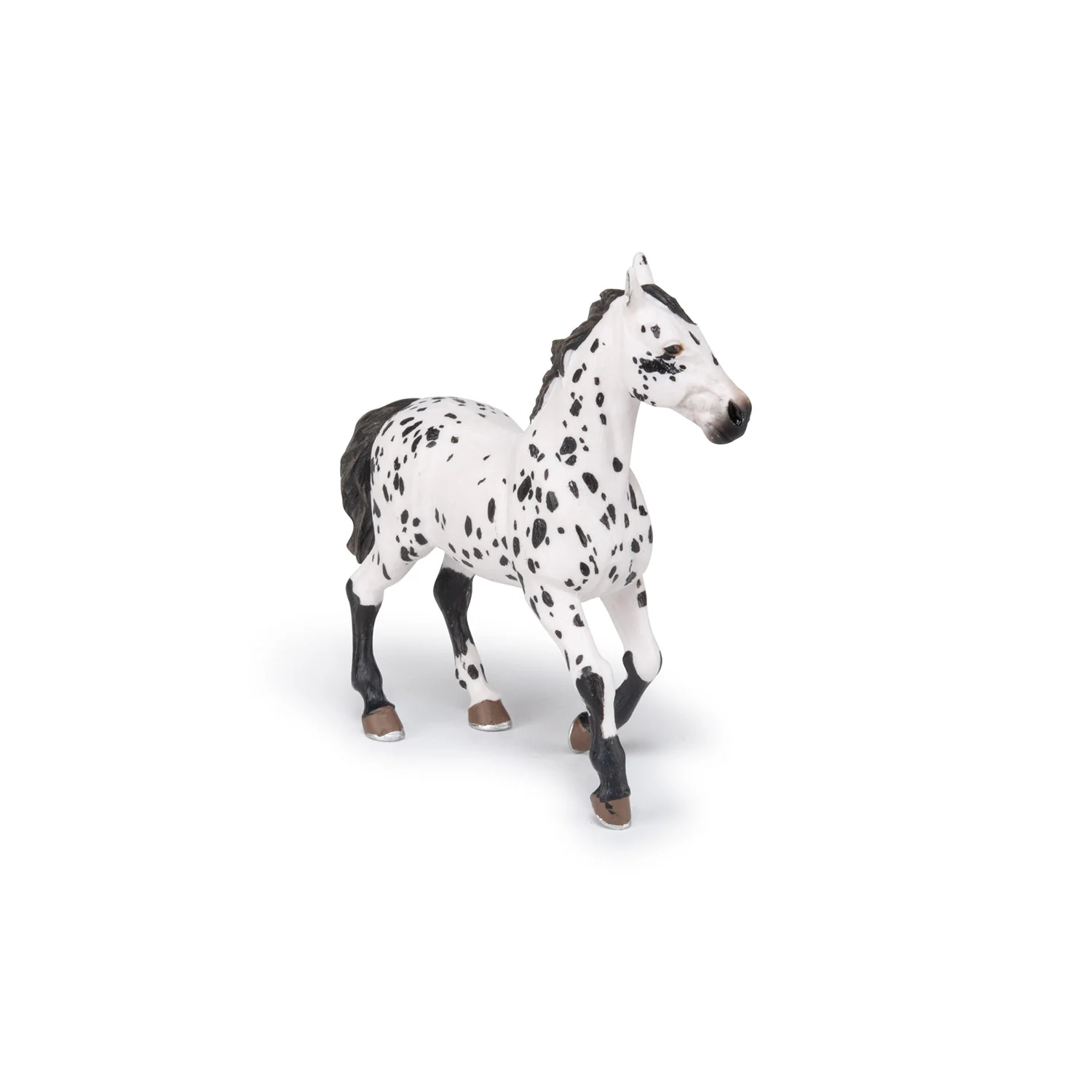 Zwarte Appeloosa Paard - Image 7