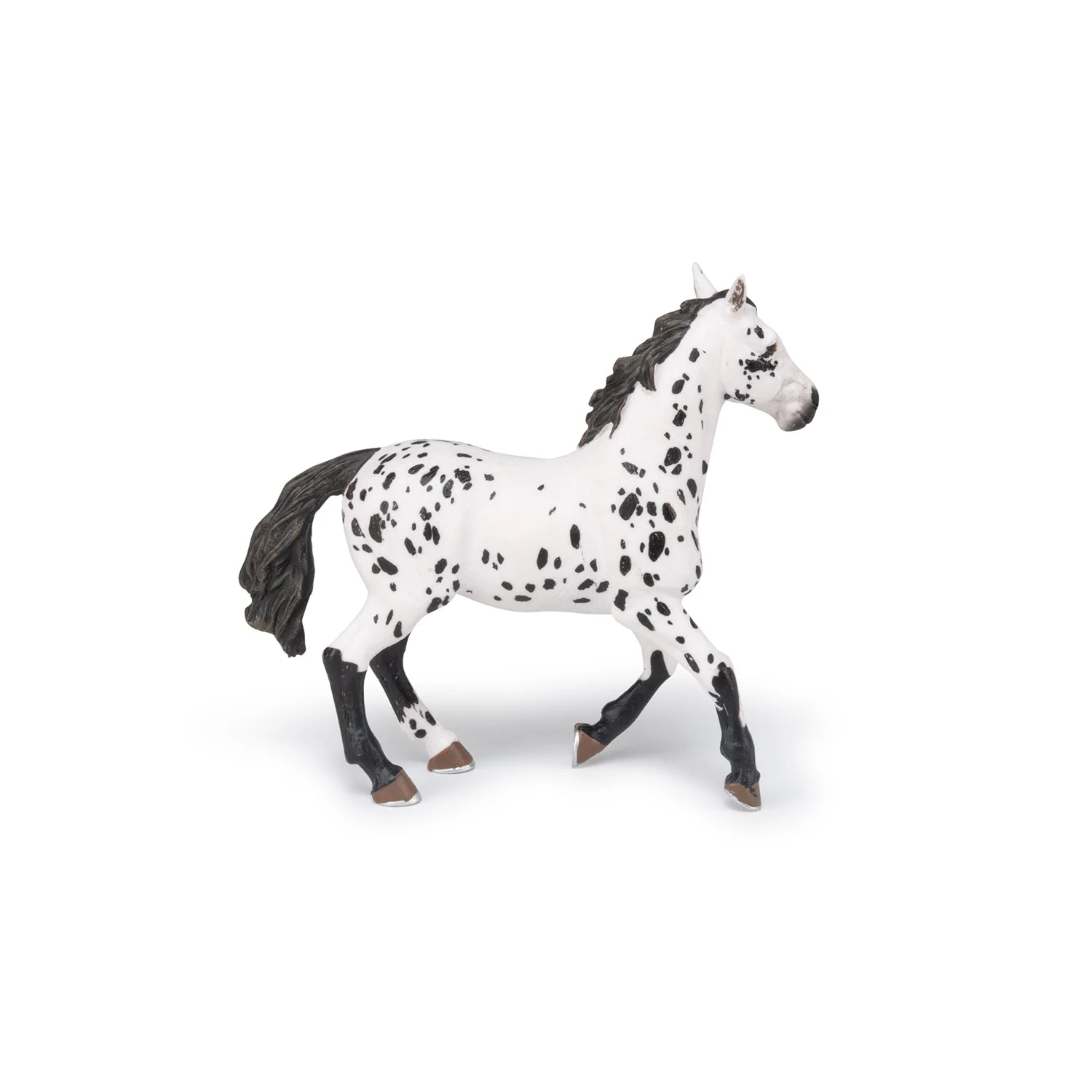 Zwarte Appeloosa Paard - Image 8