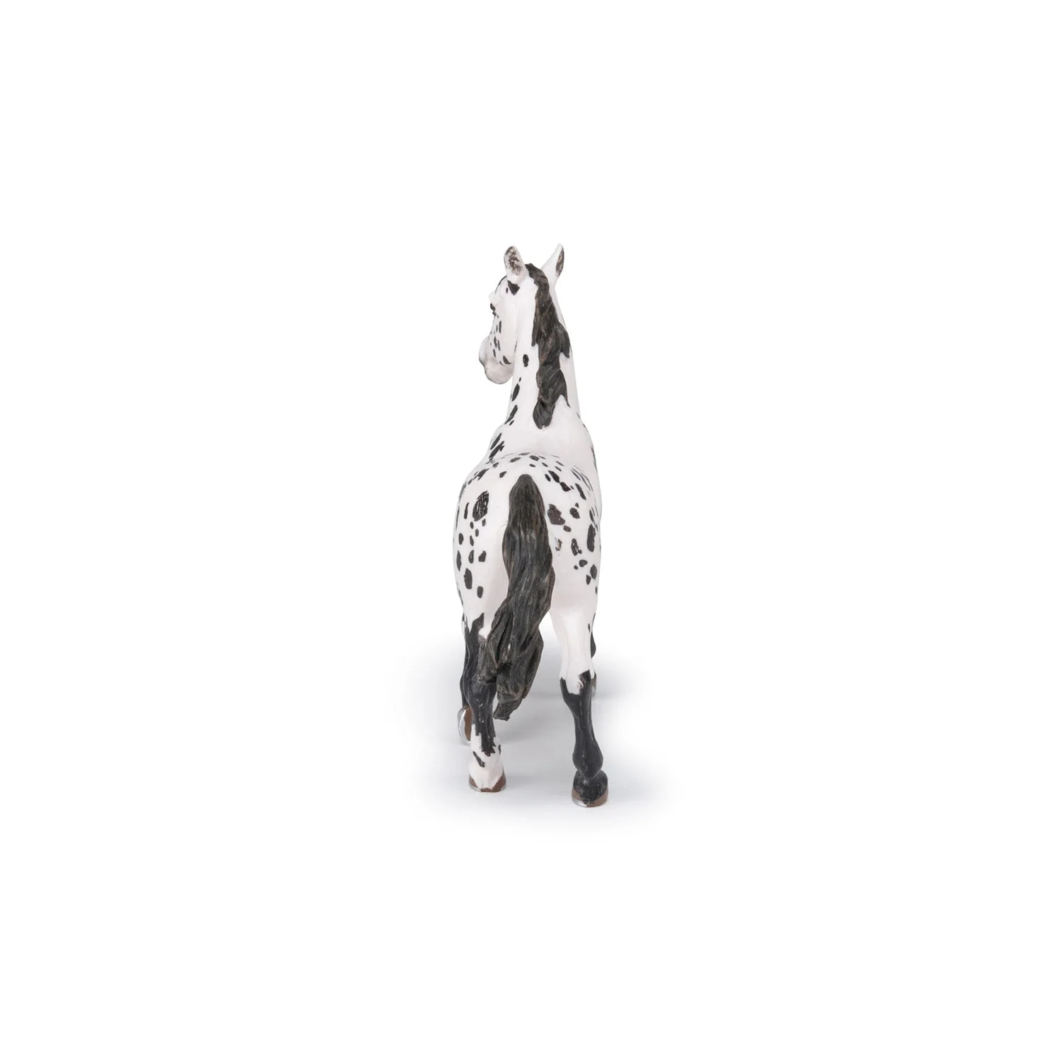 Zwarte Appeloosa Paard - Image 9