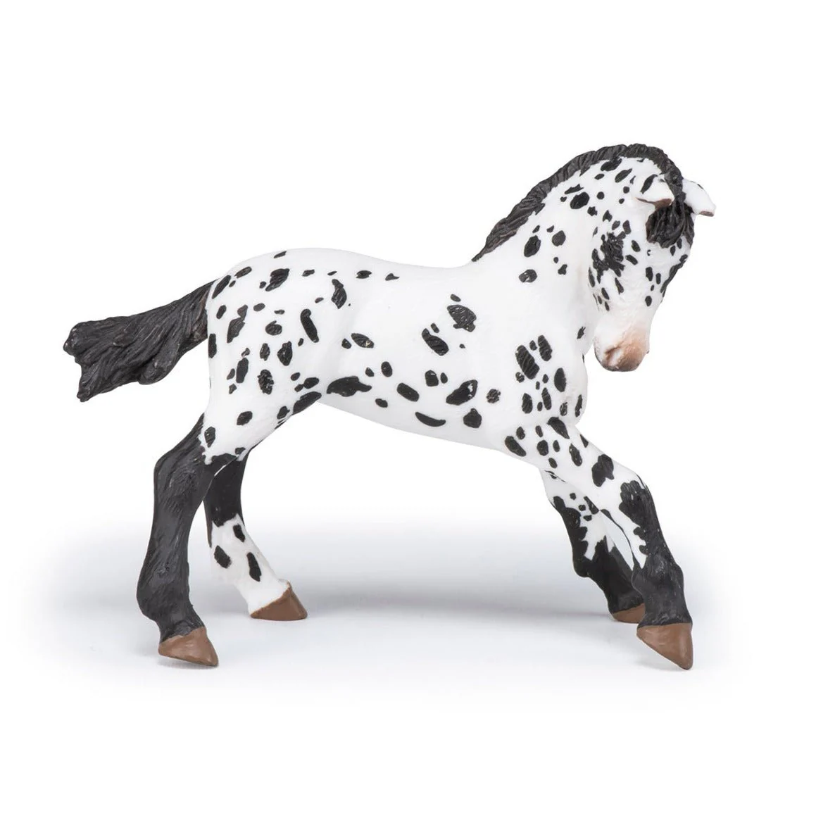 Zwarte Appeloosa Veulen - Image 3
